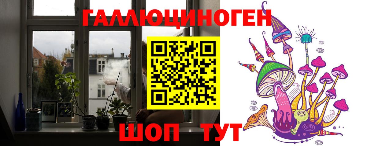 Ессентуки  Псилоцибиновые грибы мицелий  Вход с VPN 